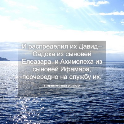 Picture 05 - 1 Паралипоменон 24:3 RUSV - И распределил их - Bible Verse Picture