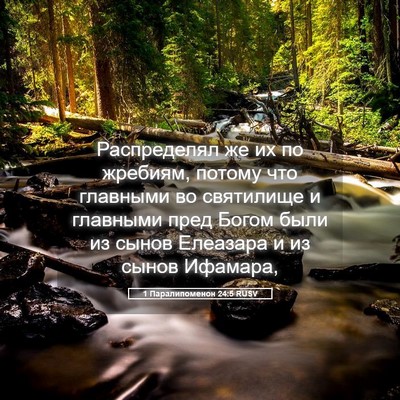 Picture 05 - 1 Паралипоменон 24:5 RUSV - Распределял же их по - Bible Verse Picture