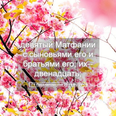 Picture 05 - 1 Паралипоменон 25:16 RUSV - девятый Матфании с - Bible Verse Picture