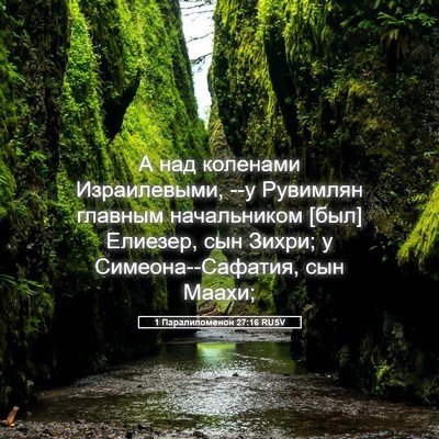 Picture 05 - 1 Паралипоменон 27:16 RUSV - А над коленами - Bible Verse Picture