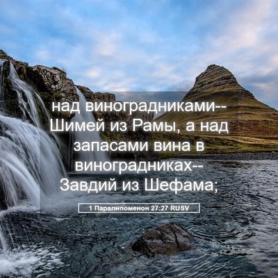 Picture 05 - 1 Паралипоменон 27:27 RUSV - над виноградниками--Шимей - Bible Verse Picture