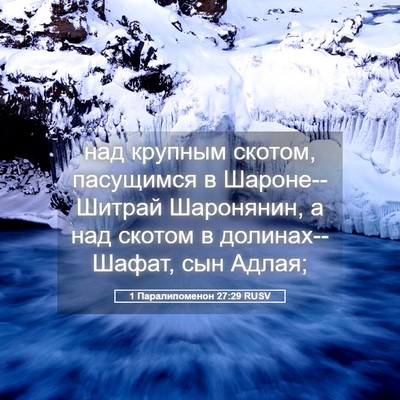 Picture 05 - 1 Паралипоменон 27:29 RUSV - над крупным скотом, - Bible Verse Picture