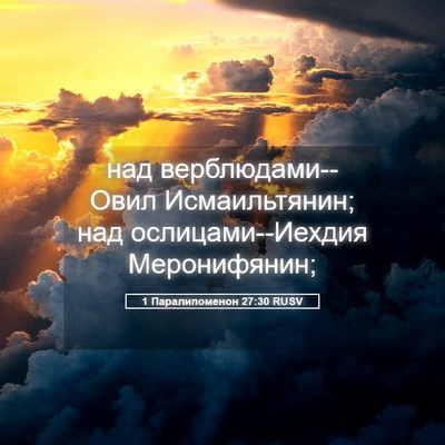 Picture 05 - 1 Паралипоменон 27:30 RUSV - над верблюдами--Овил - Bible Verse Picture
