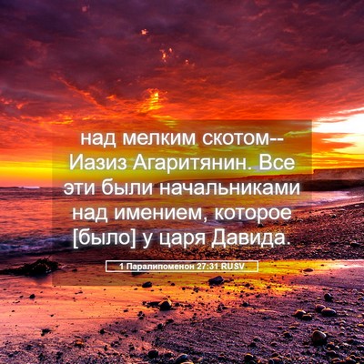 Picture 05 - 1 Паралипоменон 27:31 RUSV - над мелким скотом--Иазиз - Bible Verse Picture