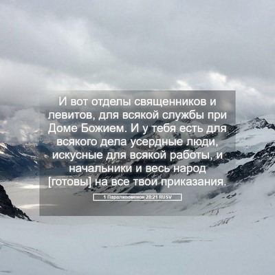 Picture 05 - 1 Паралипоменон 28:21 RUSV - И вот отделы священников и - Bible Verse Picture
