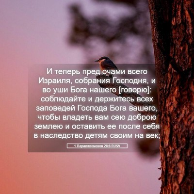 Picture 05 - 1 Паралипоменон 28:8 RUSV - И теперь пред очами всего - Bible Verse Picture