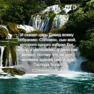 Picture 05 - 1 Паралипоменон 29:1 RUSV - И сказал царь Давид всему - Bible Verse Picture