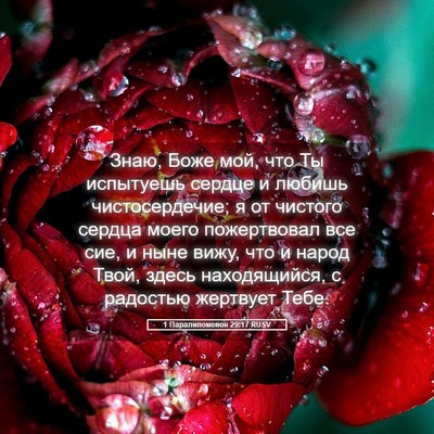 Picture 05 - 1 Паралипоменон 29:17 RUSV - Знаю, Боже мой, что Ты - Bible Verse Picture