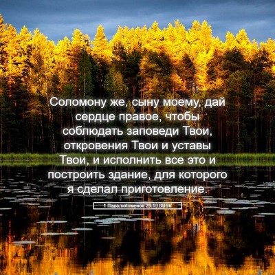 Picture 05 - 1 Паралипоменон 29:19 RUSV - Соломону же, сыну моему, - Bible Verse Picture