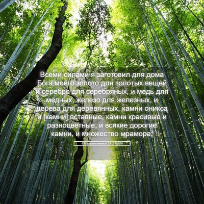 Picture 05 - 1 Паралипоменон 29:2 RUSV - Всеми силами я заготовил - Bible Verse Picture