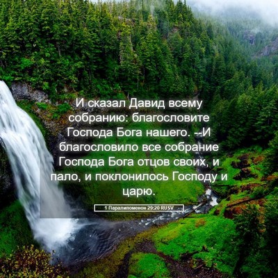 Picture 05 - 1 Паралипоменон 29:20 RUSV - И сказал Давид всему - Bible Verse Picture