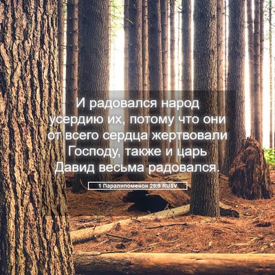 Picture 05 - 1 Паралипоменон 29:9 RUSV - И радовался народ усердию - Bible Verse Picture