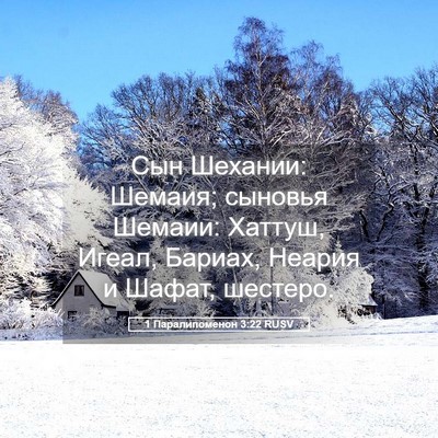 Picture 05 - 1 Паралипоменон 3:22 RUSV - Сын Шехании: Шемаия; - Bible Verse Picture