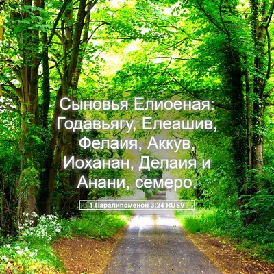 Picture 05 - 1 Паралипоменон 3:24 RUSV - Сыновья Елиоеная: - Bible Verse Picture