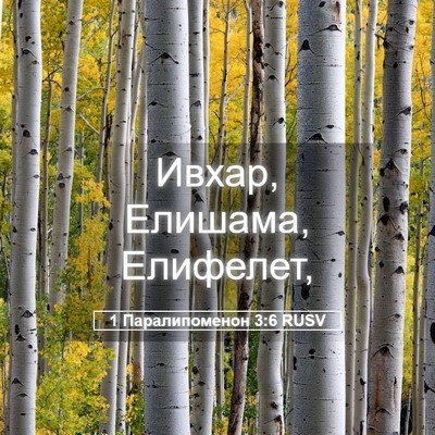 Picture 05 - 1 Паралипоменон 3:6 RUSV - Ивхар, Елишама, - Bible Verse Picture