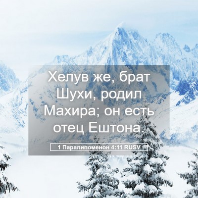 Picture 05 - 1 Паралипоменон 4:11 RUSV - Хелув же, брат Шухи, родил - Bible Verse Picture