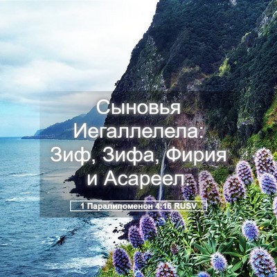 Picture 05 - 1 Паралипоменон 4:16 RUSV - Сыновья Иегаллелела: Зиф, - Bible Verse Picture