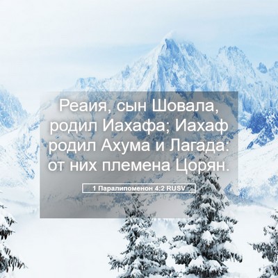 Picture 05 - 1 Паралипоменон 4:2 RUSV - Реаия, сын Шовала, родил - Bible Verse Picture