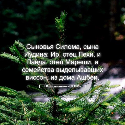 Picture 05 - 1 Паралипоменон 4:21 RUSV - Сыновья Силома, сына - Bible Verse Picture