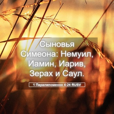 Picture 05 - 1 Паралипоменон 4:24 RUSV - Сыновья Симеона: Немуил, - Bible Verse Picture