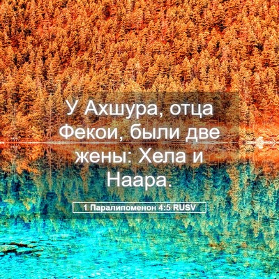 Picture 05 - 1 Паралипоменон 4:5 RUSV - У Ахшура, отца Фекои, были - Bible Verse Picture