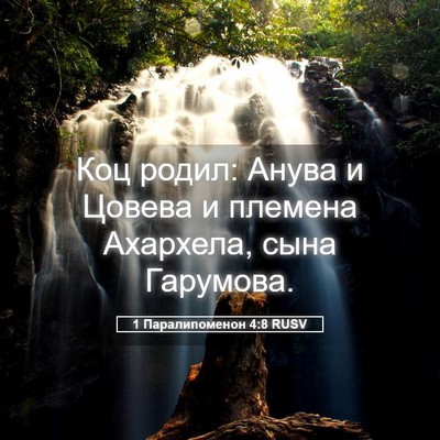 Picture 05 - 1 Паралипоменон 4:8 RUSV - Коц родил: Анува и Цовева и - Bible Verse Picture