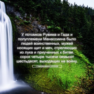Picture 05 - 1 Паралипоменон 5:18 RUSV - У потомков Рувима и Гада и - Bible Verse Picture