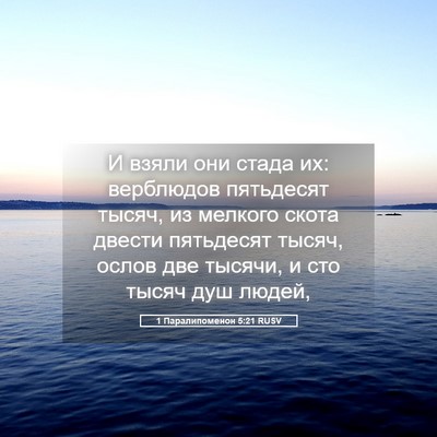 Picture 05 - 1 Паралипоменон 5:21 RUSV - И взяли они стада их: - Bible Verse Picture