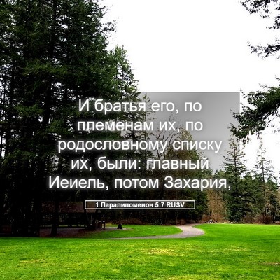 Picture 05 - 1 Паралипоменон 5:7 RUSV - И братья его, по племенам - Bible Verse Picture