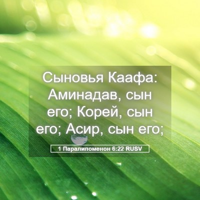 Picture 05 - 1 Паралипоменон 6:22 RUSV - Сыновья Каафа: Аминадав, - Bible Verse Picture