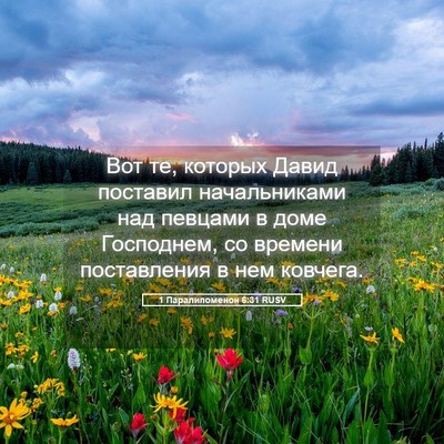 Picture 05 - 1 Паралипоменон 6:31 RUSV - Вот те, которых Давид - Bible Verse Picture