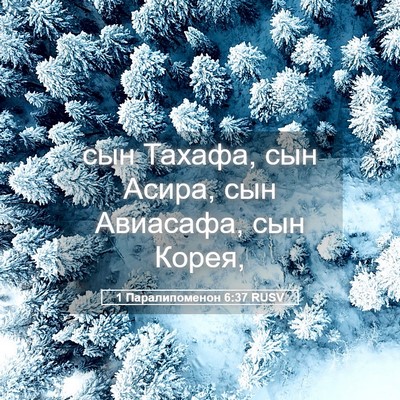 Picture 05 - 1 Паралипоменон 6:37 RUSV - сын Тахафа, сын Асира, сын - Bible Verse Picture