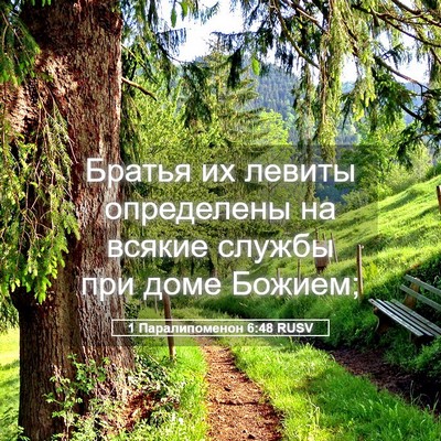 Picture 05 - 1 Паралипоменон 6:48 RUSV - Братья их левиты - Bible Verse Picture
