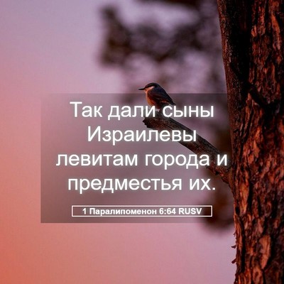 Picture 05 - 1 Паралипоменон 6:64 RUSV - Так дали сыны Израилевы - Bible Verse Picture