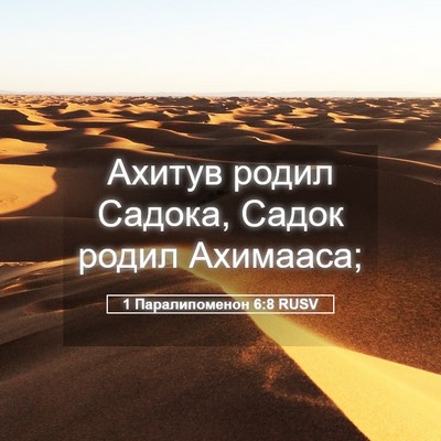 Picture 05 - 1 Паралипоменон 6:8 RUSV - Ахитув родил Садока, Садок - Bible Verse Picture