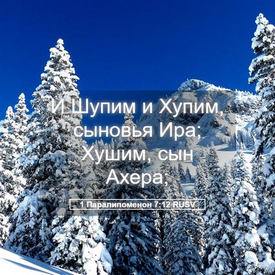 Picture 05 - 1 Паралипоменон 7:12 RUSV - И Шупим и Хупим, сыновья - Bible Verse Picture