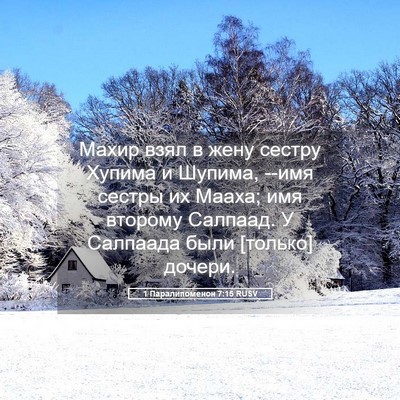 Picture 05 - 1 Паралипоменон 7:15 RUSV - Махир взял в жену сестру - Bible Verse Picture