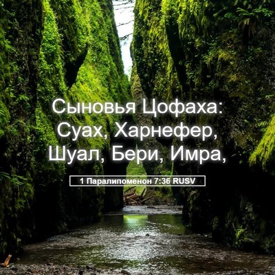 Picture 05 - 1 Паралипоменон 7:36 RUSV - Сыновья Цофаха: Суах, - Bible Verse Picture