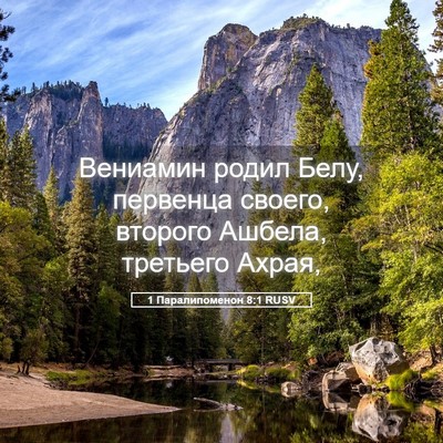 Picture 05 - 1 Паралипоменон 8:1 RUSV - Вениамин родил Белу, - Bible Verse Picture