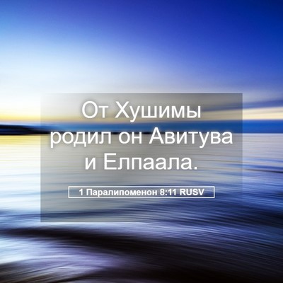 Picture 05 - 1 Паралипоменон 8:11 RUSV - От Хушимы родил он Авитува - Bible Verse Picture