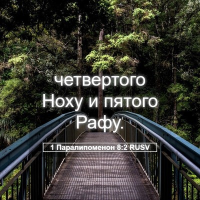 Picture 05 - 1 Паралипоменон 8:2 RUSV - четвертого Ноху и пятого - Bible Verse Picture