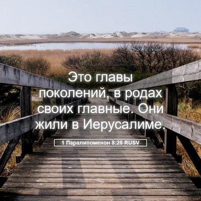 Picture 05 - 1 Паралипоменон 8:28 RUSV - Это главы поколений, в - Bible Verse Picture