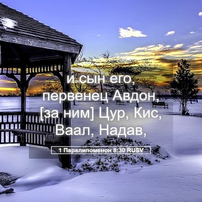Picture 05 - 1 Паралипоменон 8:30 RUSV - и сын его, первенец Авдон, - Bible Verse Picture