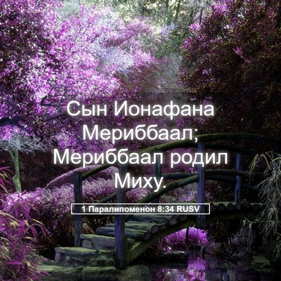 Picture 05 - 1 Паралипоменон 8:34 RUSV - Сын Ионафана Мериббаал; - Bible Verse Picture