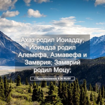 Picture 05 - 1 Паралипоменон 8:36 RUSV - Ахаз родил Иоиадду; - Bible Verse Picture