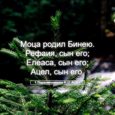 Picture 05 - 1 Паралипоменон 8:37 RUSV - Моца родил Бинею. Рефаия, - Bible Verse Picture