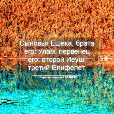 Picture 05 - 1 Паралипоменон 8:39 RUSV - Сыновья Ешека, брата его: - Bible Verse Picture