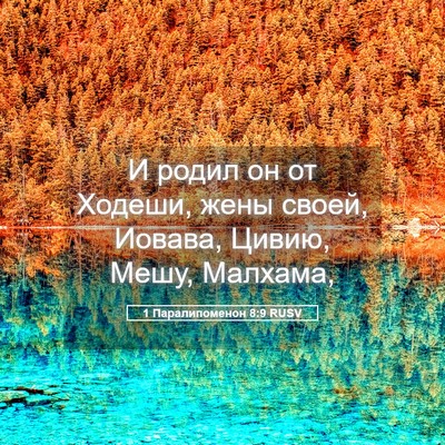 Picture 05 - 1 Паралипоменон 8:9 RUSV - И родил он от Ходеши, жены - Bible Verse Picture