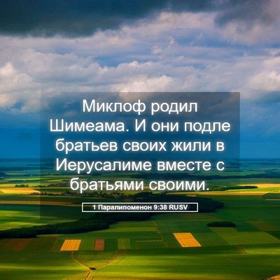 Picture 05 - 1 Паралипоменон 9:38 RUSV - Миклоф родил Шимеама. И они - Bible Verse Picture