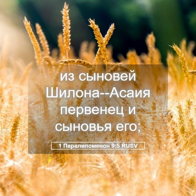 Picture 05 - 1 Паралипоменон 9:5 RUSV - из сыновей Шилона--Асаия - Bible Verse Picture